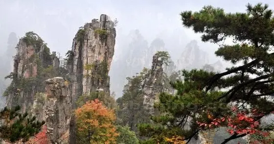 Top 10 Places to See Autumn Leaves in China
