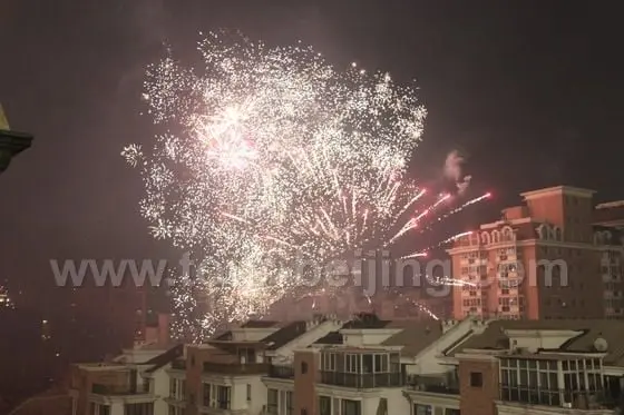 Fireworks in my community 1