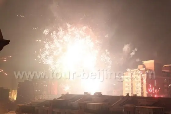 Fireworks in my community 2