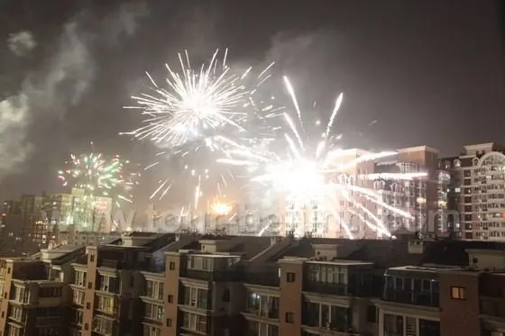 Fireworks in my community 3