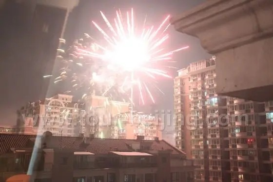 Fireworks in my community 4