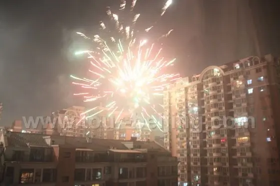 Fireworks in my community 5