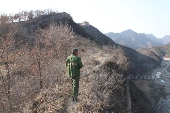 Follow Mr.Zhang hiking up to the west section along wall path rife with bushes and sapplings
