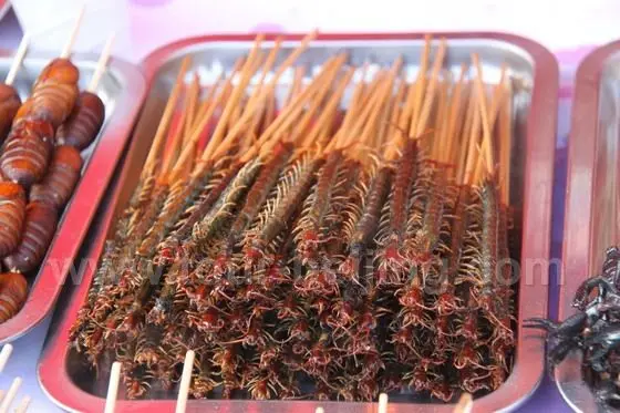 Fried Scentipede!!
