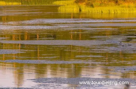 The magical water reflections on the surfaces of Dujian Lake