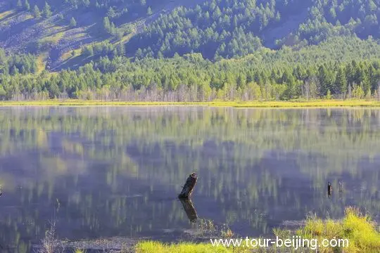 Beautiful reflections on the mirror-like water surface.