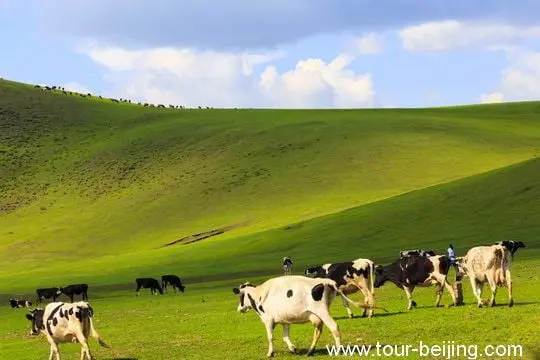 The green hill slopes are dappled with changing sunlight and colors