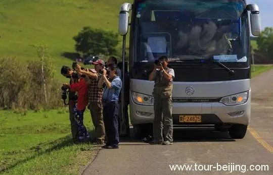 Standing by the roadside, we zoom in and out for the stupendous view!