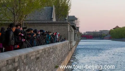 Photography lovers are busy taking the photos of the turret.