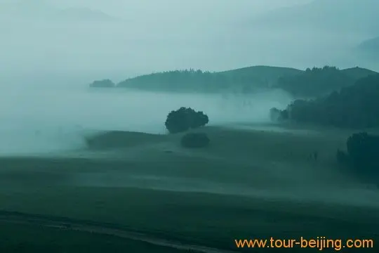 Early Morning Magical Fog