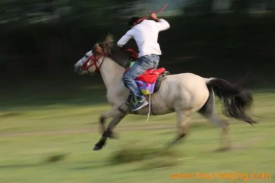 A galloping white horse