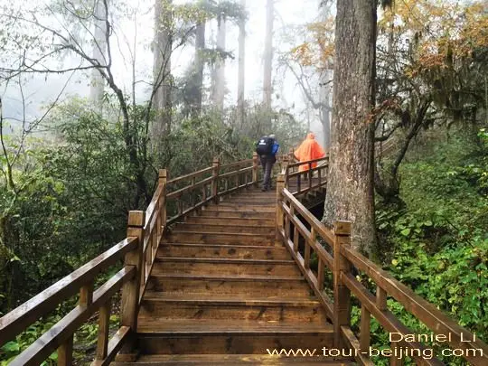 Hailuogou Glacier Boardwalk