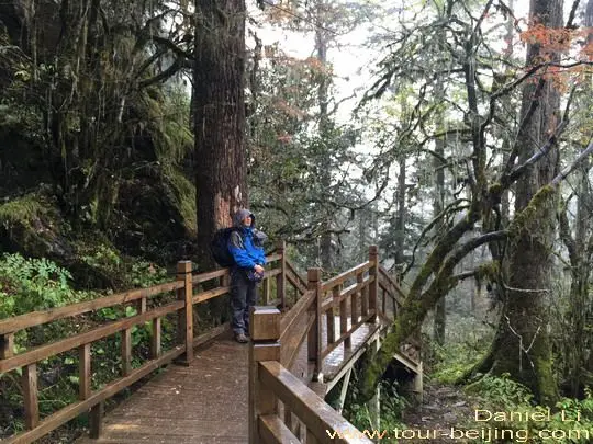 Glacier Walkway at Camp No.03
