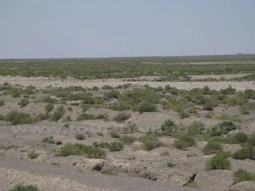 Gobi