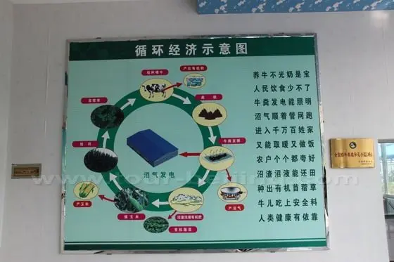 Green Yard Organic Dairy Farm is a Recycle Economy Model (in Chinese )