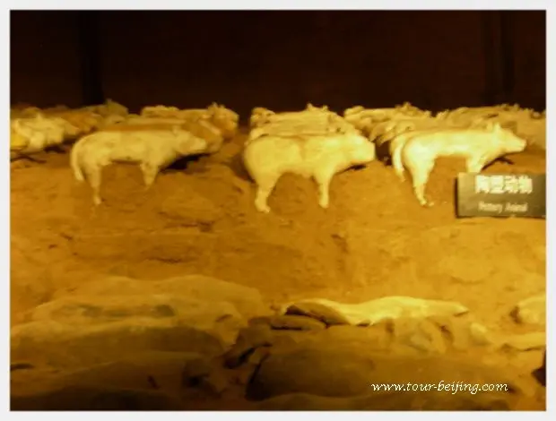 How to Visit Hanyang Tomb Xi'an (Tips, Photos & Map)