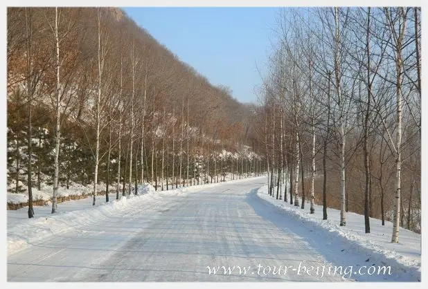 Harbin Jihua Ski Resort (Tips, Photos & Map)