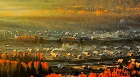 Autumn Leaves at Hemu Village