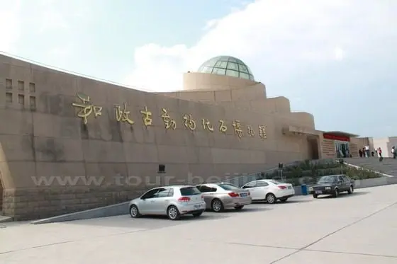 Hezheng Museum of Paleontologic Fossils