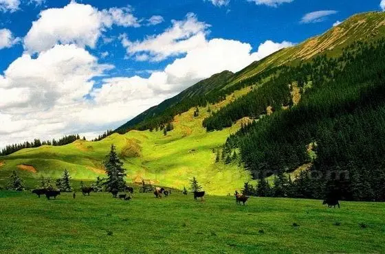 Ho-lan Mountains