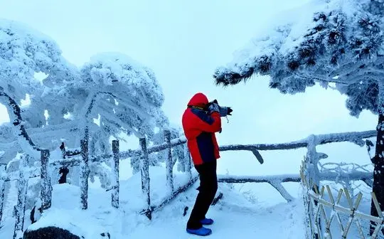 the photographer is photographed.