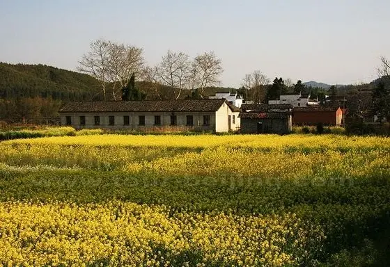Huizhou Style Villages around Wuyuan