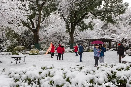 Snow Turns West Lake Hangzhou into a White Fairyland