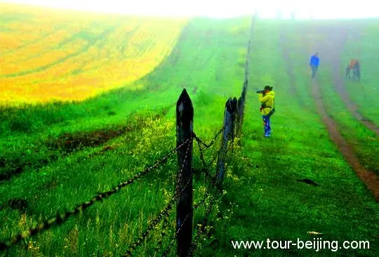 Ms Li Xin at work in the foggy morning