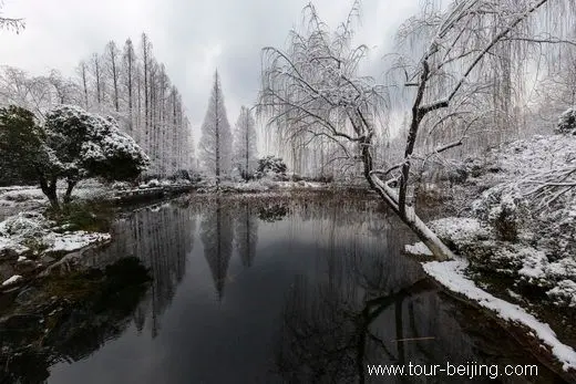 Snow Turns West Lake Hangzhou into a White Fairyland