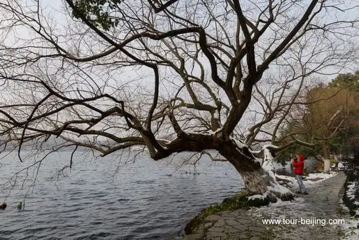 Poetic Winter Scenery Viewed from Su Causeway in West Lake