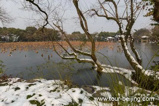 The Pure and Fresh Winter Beauty of West Lake in Hangzhou