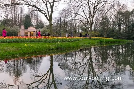 Best Time and Place to See Cherry & Tulip Flowers in Hangzhou