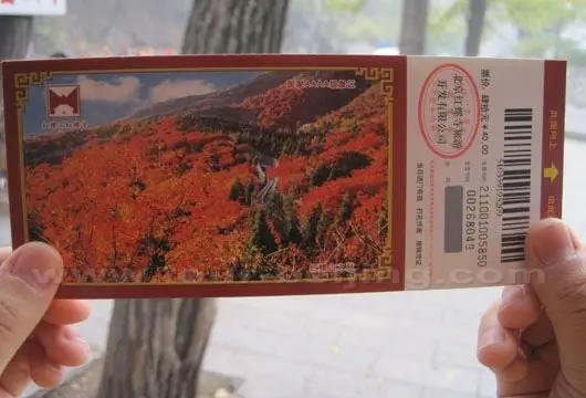 the obverse side of the ticket