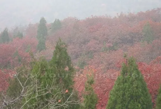 It was foggy last Sunday. So the far away view was very hazy.