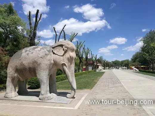 The Statue of an Elephant