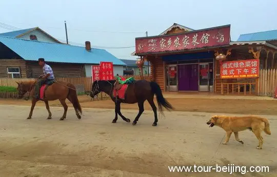 Linjiang Village