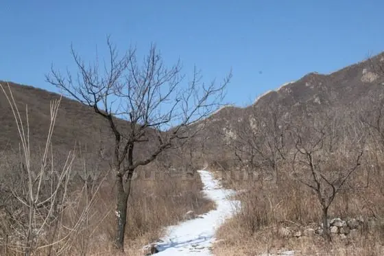 If in spring or summer, it would be a great experience walking along the valley with the Great Wall in sight on the nearby mountain.