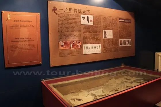 Inscriptions on oracle bones on display