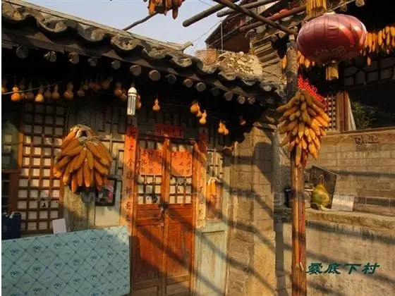 Inside an courtyard houses, you will see the yello sweetcorn cobs