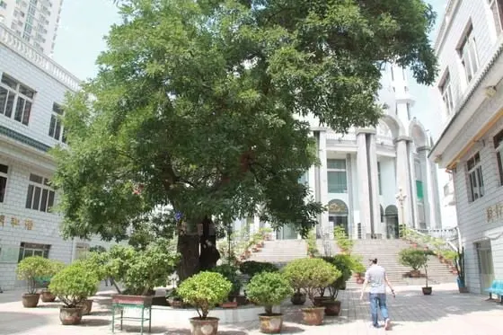 Inside the courtyard of the West Cross Mosque