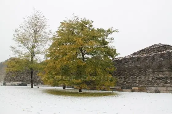 Is it autumn or winter Hard to say!