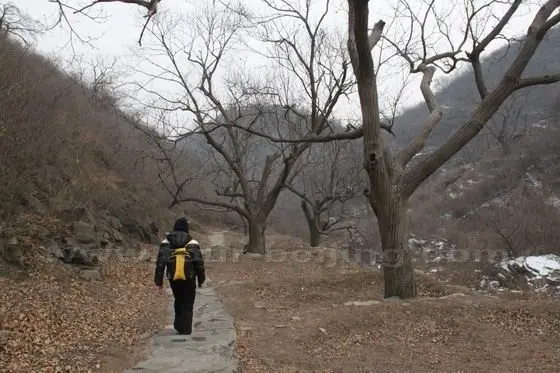 It is a pleasant walk back to the entrance.