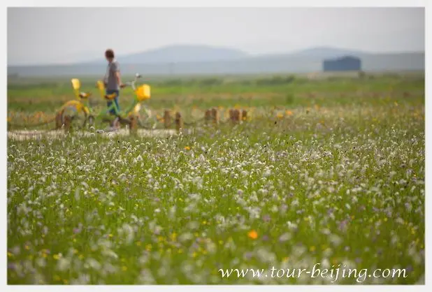 Jinlianchuan Grassland (Tips & Photos)