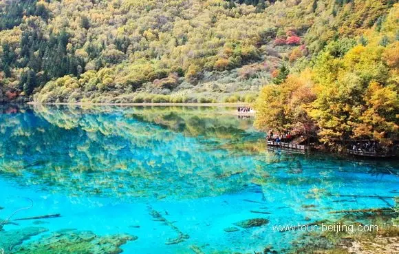 Best Places to See Autumn Leaves in Sichuan (Tips & Photos)