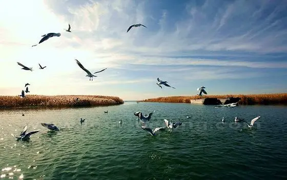 Juyanhai Lake