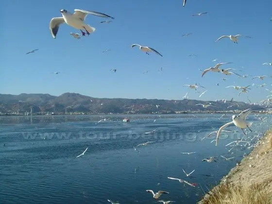 Kunming Dianchi Lake