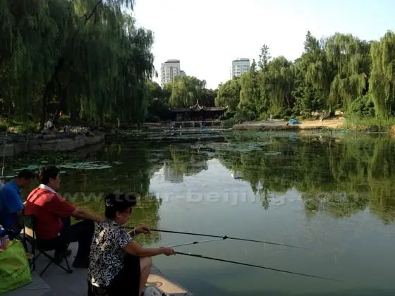 Leisure fishing in the lake