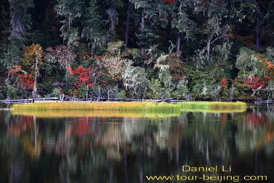 Like an oil painting