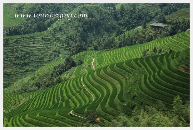 How to Visit Longji Rice Terraces from Guilin (Tips, Photos & Map)