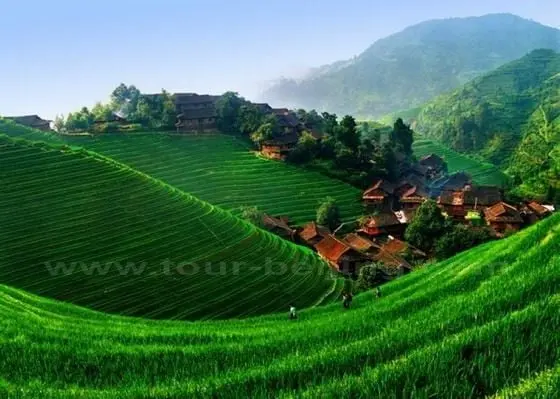 Longji Terraced Field
